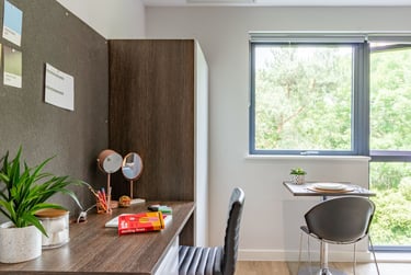 Premium Studio at Cricket Field Court, Prince of Wales Road, University Of Exeter, Exeter, EX44FU - Image 8